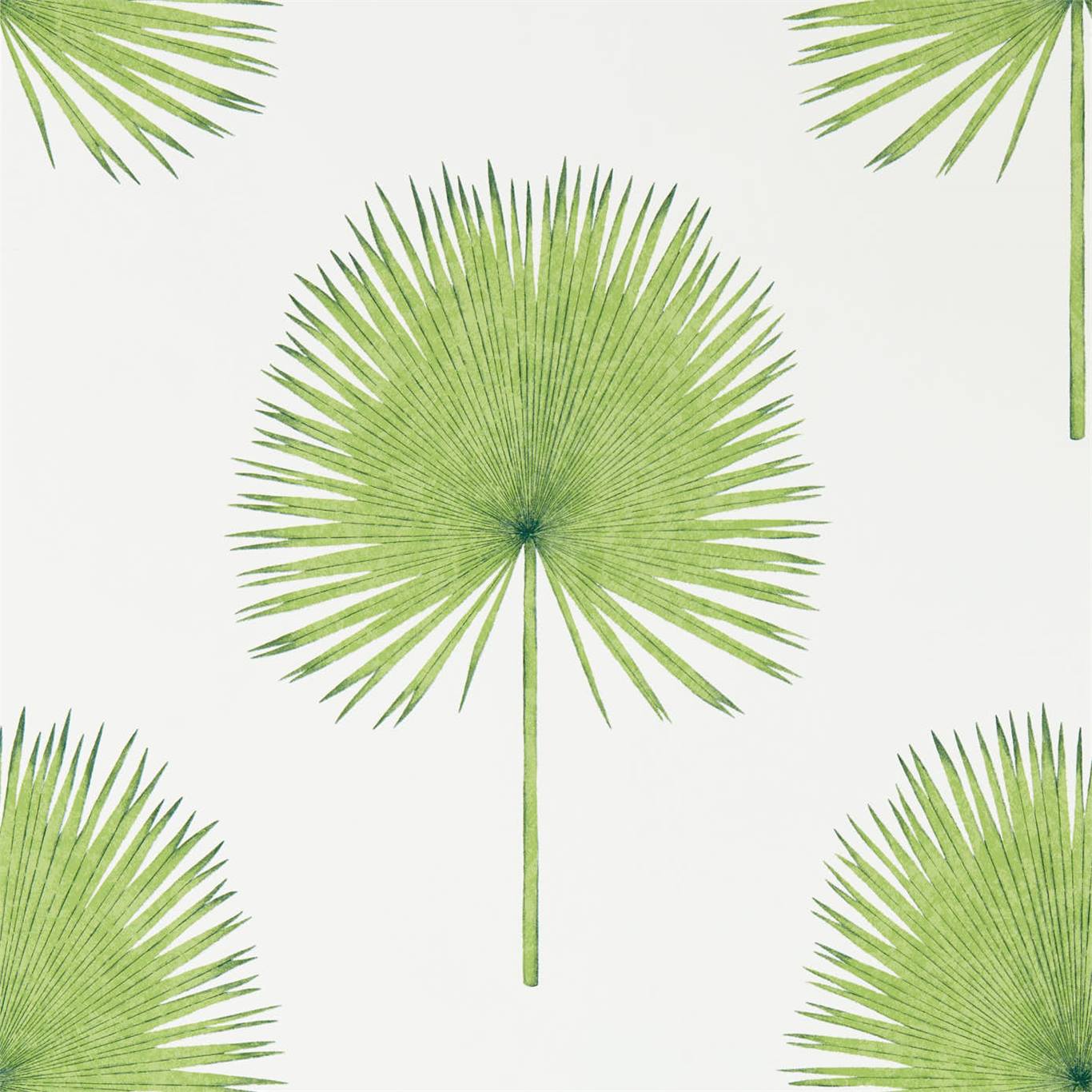 Обои Sanderson The Glasshouse Fan Palm 216636
